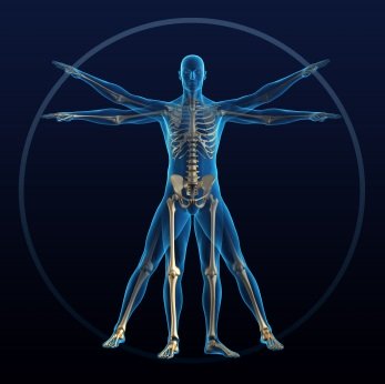 Whole Patient Care Concept Whole Patient Care Concept