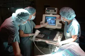 ultrasound