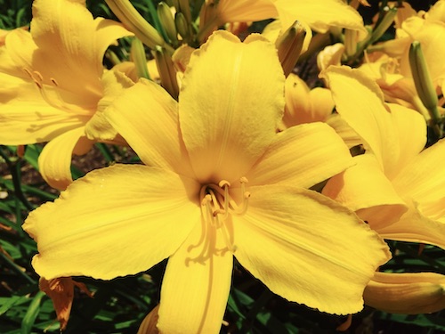 Believe it or not, there is beauty and joy in the world. Don't miss out. You may not see it right now. Sometimes you have to look for it. Make a change if you have to. You will thank yourself later.